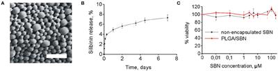 Pre-treatment With PLGA/Silibinin Nanoparticles Mitigates Dacarbazine-Induced Hepatotoxicity